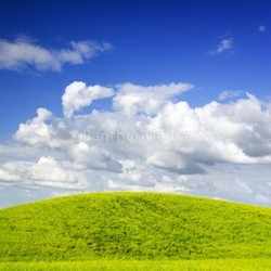 Summer landscape.
