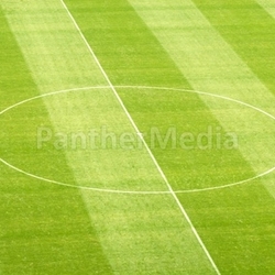 Rasen im Fußballstadion
