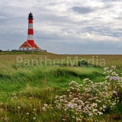 salt marsh and lighthouse