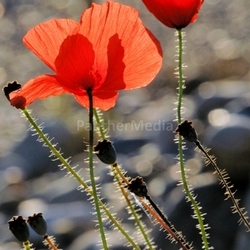 Herbstfarben