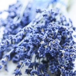 Dried lavender