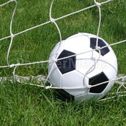 Soccer ball in the goal net