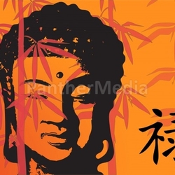 buddha career