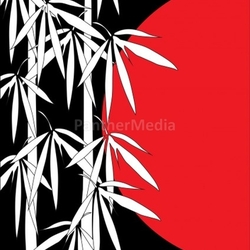 Bamboo illustration