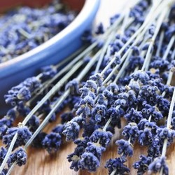 Dried lavender