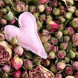 rose with heart