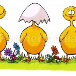 three little easter chicks