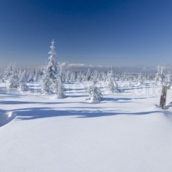 cold and clear