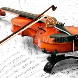 Violin