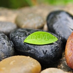 stones water drop leaf