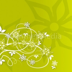 Floral background 