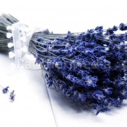 dried lavender