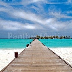 bridge on the beach