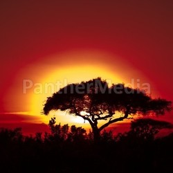 sun