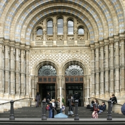 input natural historic museum london