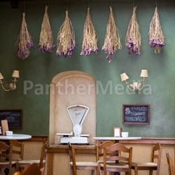 cafe in ronda