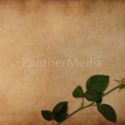 Love letter background