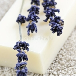 Lavender soap