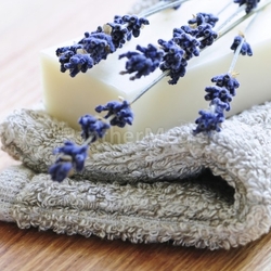 Lavender soap
