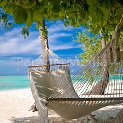 hammock on the beach