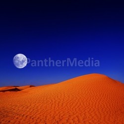 desert night