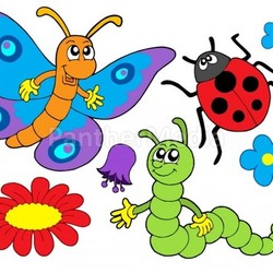 Bug and flower illustration