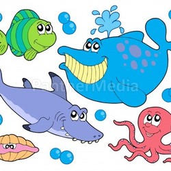 Fish collection