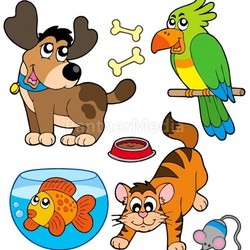 Cartoon pets collection