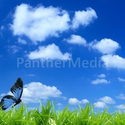 Nature background
