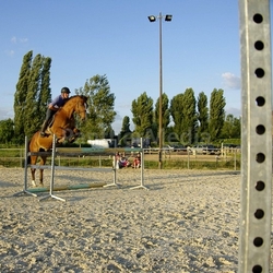 equestrian