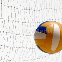 im Netz