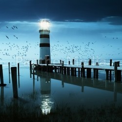 the light