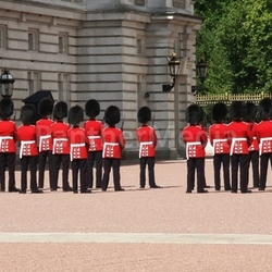 changing of the guard at buckingham palace