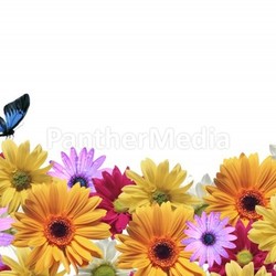 Nature background