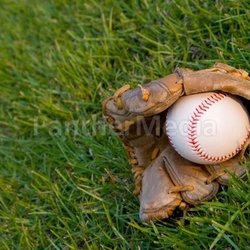 Evening Baseball
