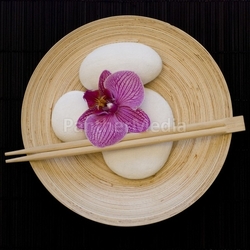 orchid  flower still life