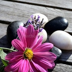 blumendeko