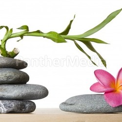 Stone Stack and Frangipani Flower With Spiral Bamboo