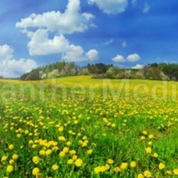 Spring