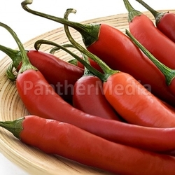 chili Schoten