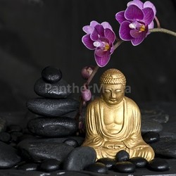 buddha