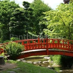 Red bridge in a japanese garden