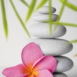 Bamboo and Pebble Still Life