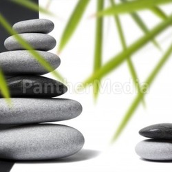 Bamboo and Pebble Still Life