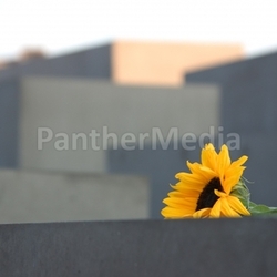 Holocaustdenkmal 30