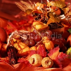 Thanksgiving