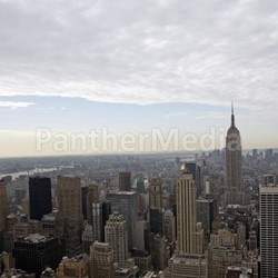 manhattan bird's