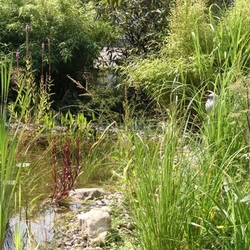 home made garden