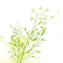 Bamboo Rain