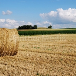 Bale of straw